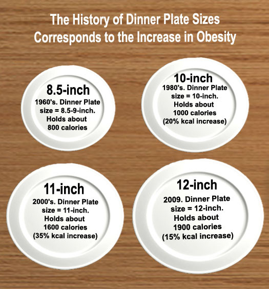 Dinner Plate Size
 Dietitians line Blog Good bye Food Pyramid Hello Food