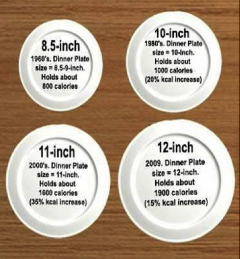 Dinner Plates Sizes
 Family Supper Is A Win Win Tar Living