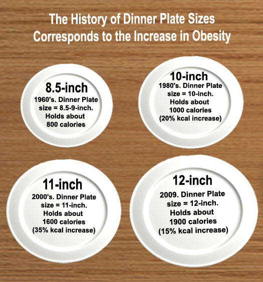 Dinner Plates Sizes
 Dietitians line Blog Good bye Food Pyramid Hello Food