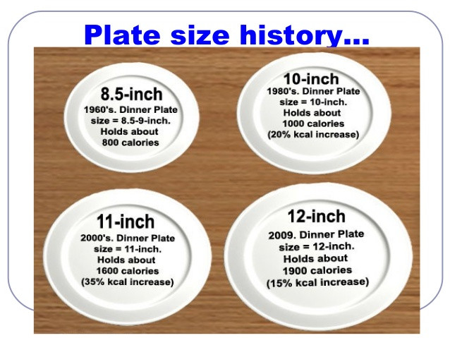 Dinner Plates Sizes
 Let’s Talk About Portion Control – Live Laugh love And Lose