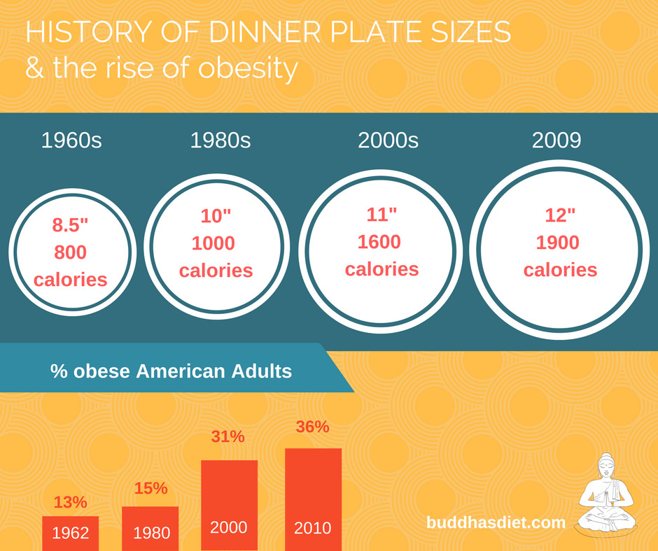 Dinner Plates Sizes
 Obesity and your plate How the size of your dinner plate