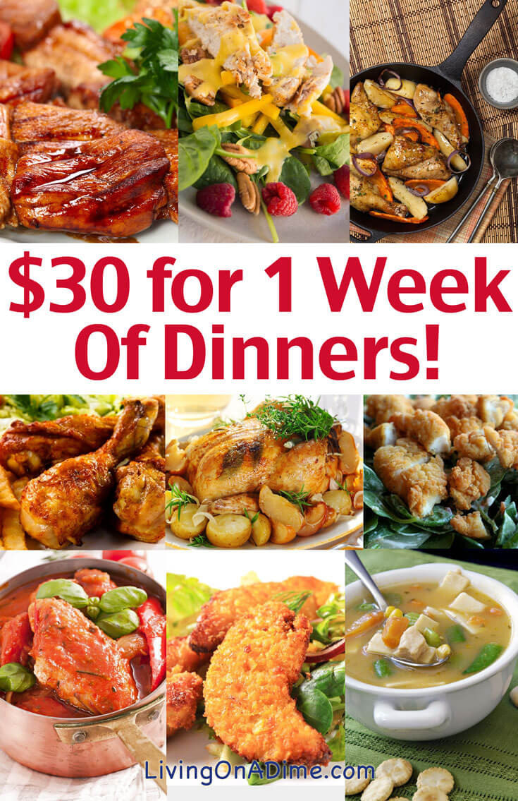 Dinners For One Ideas
 Cheap Family Dinner Ideas $30 for 1 Week of Dinners