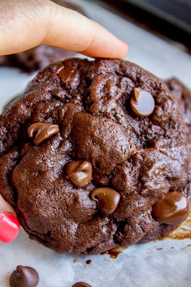 Double Chocolate Chip Cookies
 The Best Bakery Style Double Chocolate Chip Cookies The