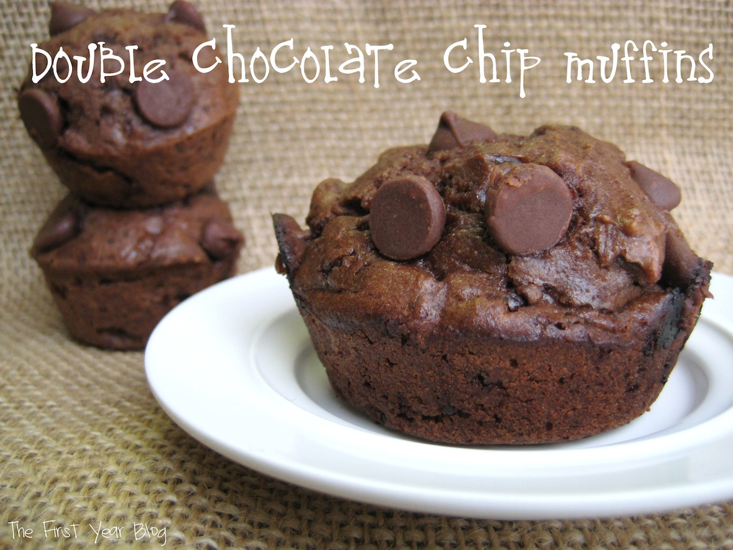 Double Chocolate Chip Muffins
 Double Chocolate Chip Muffins