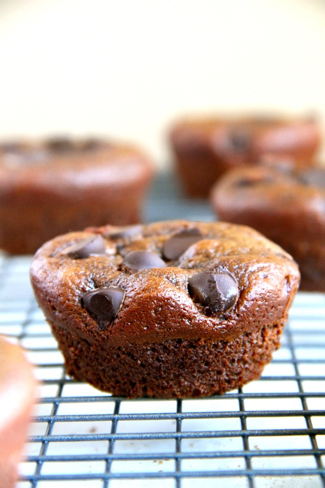 Double Chocolate Chip Muffins
 Flourless Double Chocolate Chip Muffin