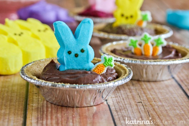 Easter Desserts For Kids
 Peeps Pudding S mores Pies Recipe