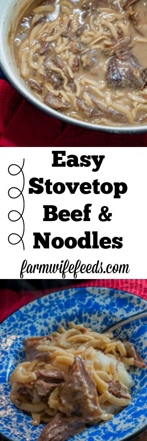 Easy Beef And Noodles Recipe Stovetop
 Easy Stovetop Beef and Noodles The Farmwife Feeds