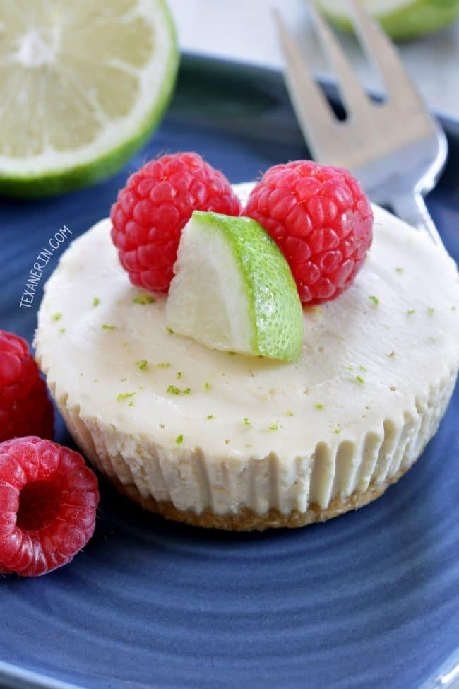 Easy Gluten And Dairy Free Desserts
 15 No Bake Paleo Vegan Desserts Gluten Free Dairy Free