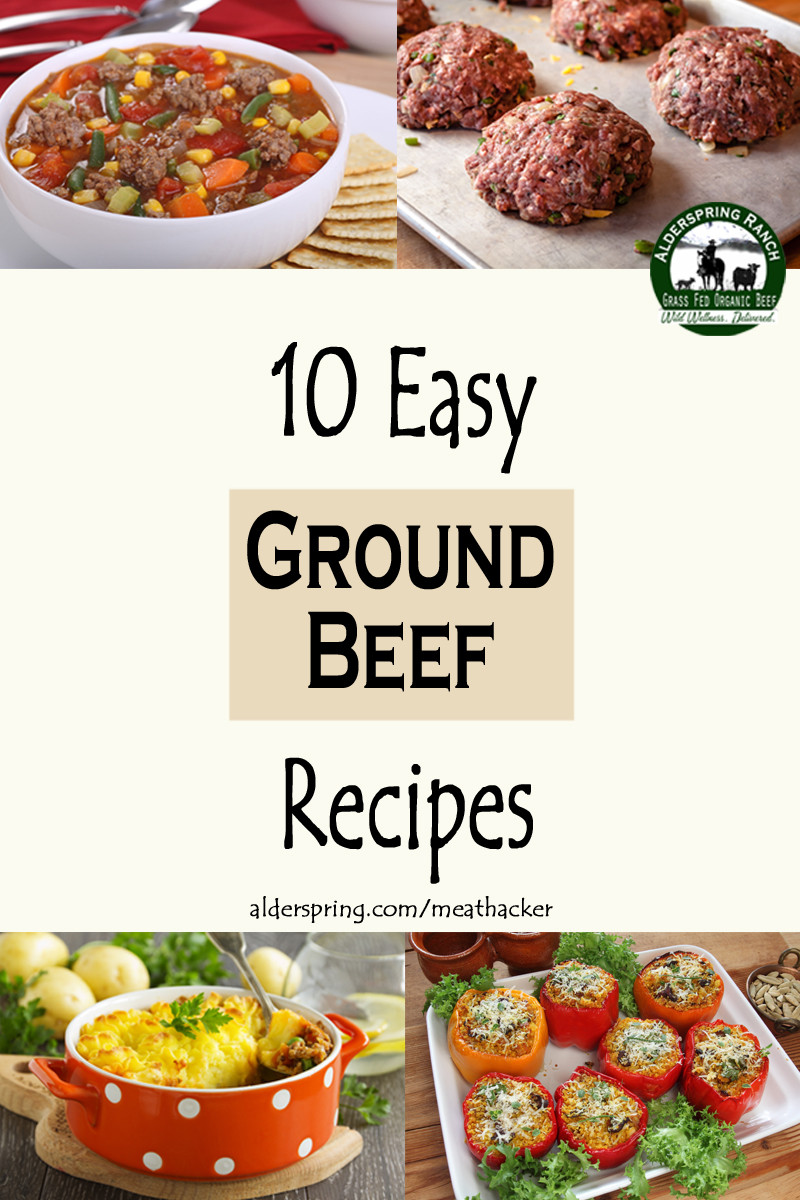 Easy Ground Beef Recipes
 10 Easy Ground Beef Recipes Meathacker