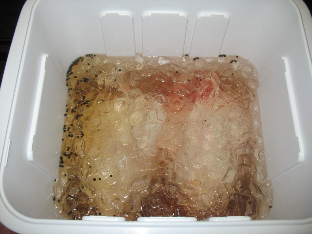 Easy Turkey Brine
 Brine a Turkey the Easy Way