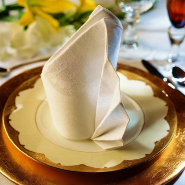 Folded Dinner Napkin
 40 Most Creative Table Napkin Folding Ideas To Practice