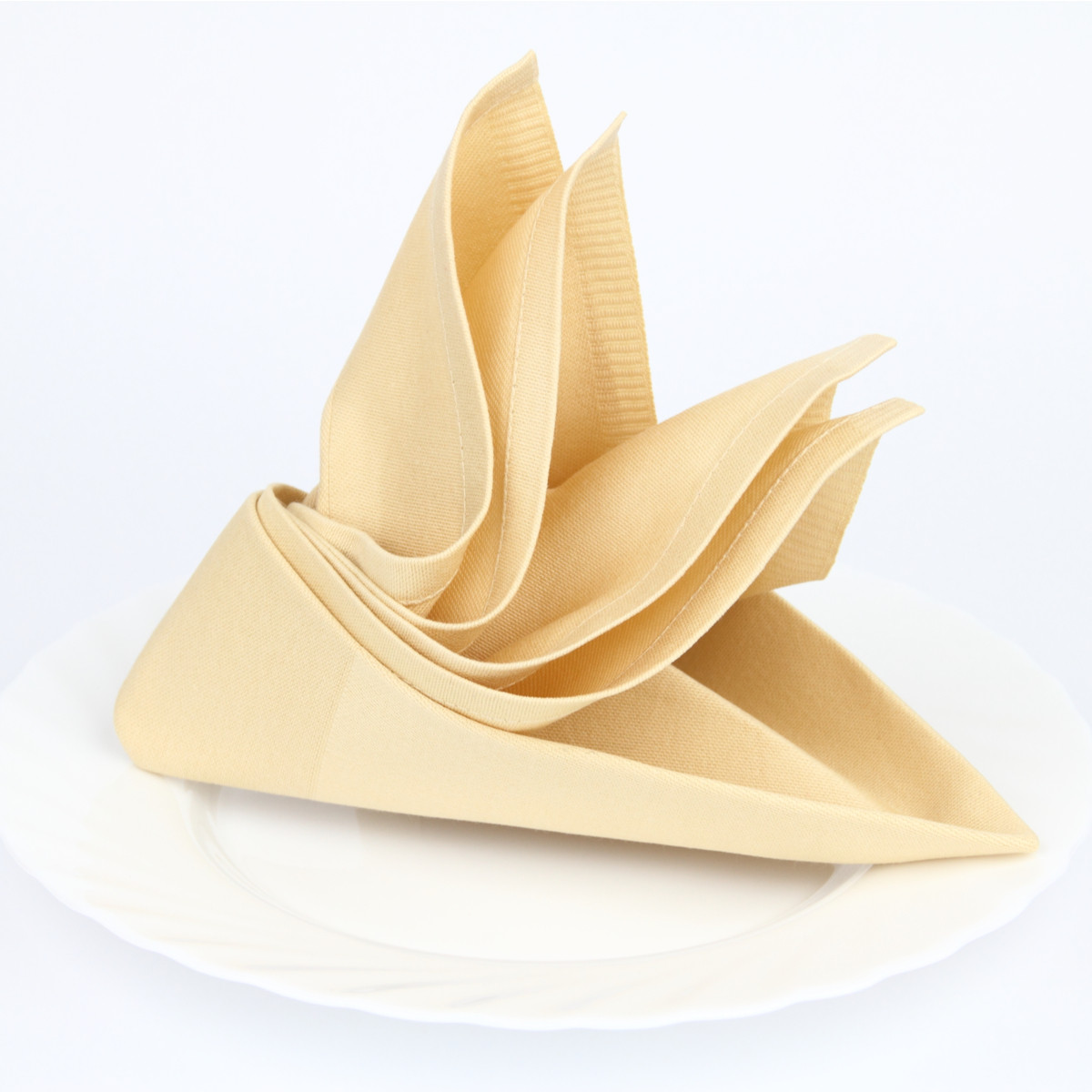 Folded Dinner Napkin
 Spruce Up Your Dinner Table with Impressive Napkin Folding