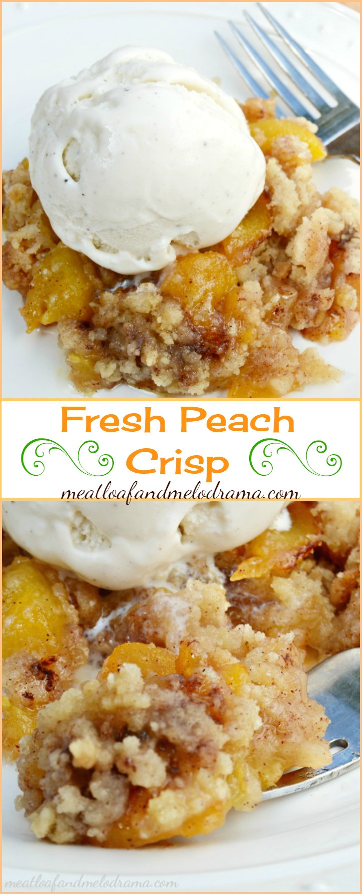 Fresh Peaches Dessert Recipes fresh peach dessert