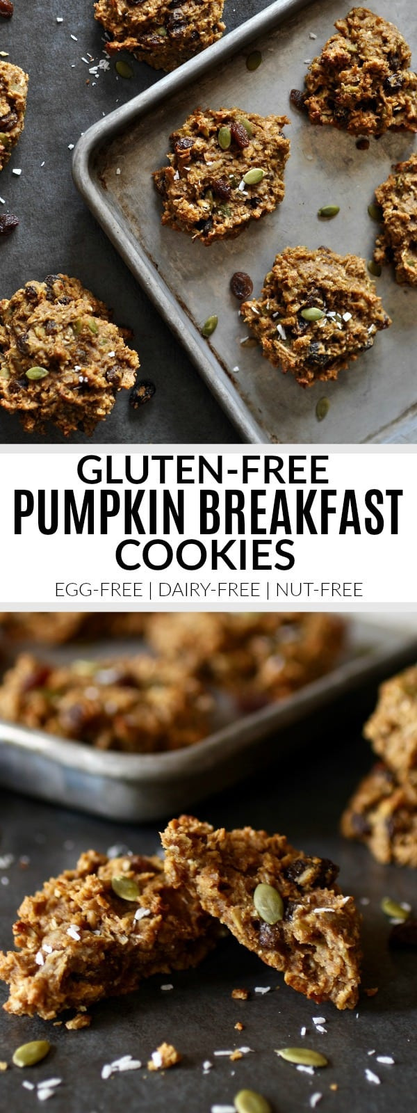 Gluten Free Breakfast Cookies
 Gluten free Pumpkin Breakfast Cookies nut free The