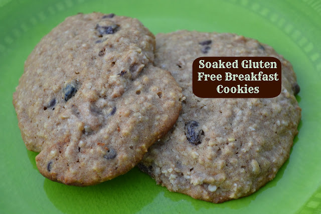 Gluten Free Breakfast Cookies
 Soaked Gluten Free Breakfast Cookies Just Take A Bite