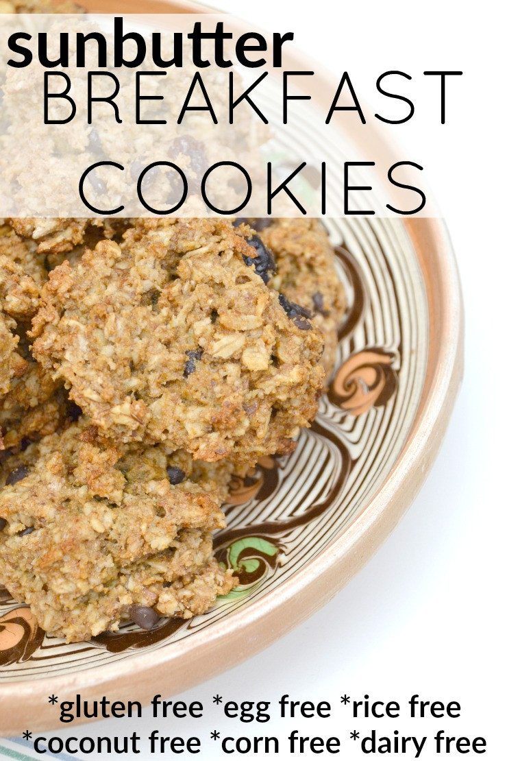 Gluten Free Breakfast Cookies
 Gluten Free Sunbutter Breakfast Cookies