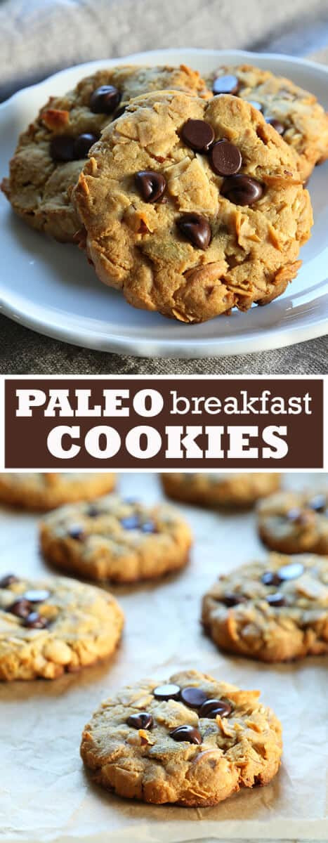 Gluten Free Breakfast Cookies
 Paleo Breakfast Cookies ⋆ Great gluten free recipes for