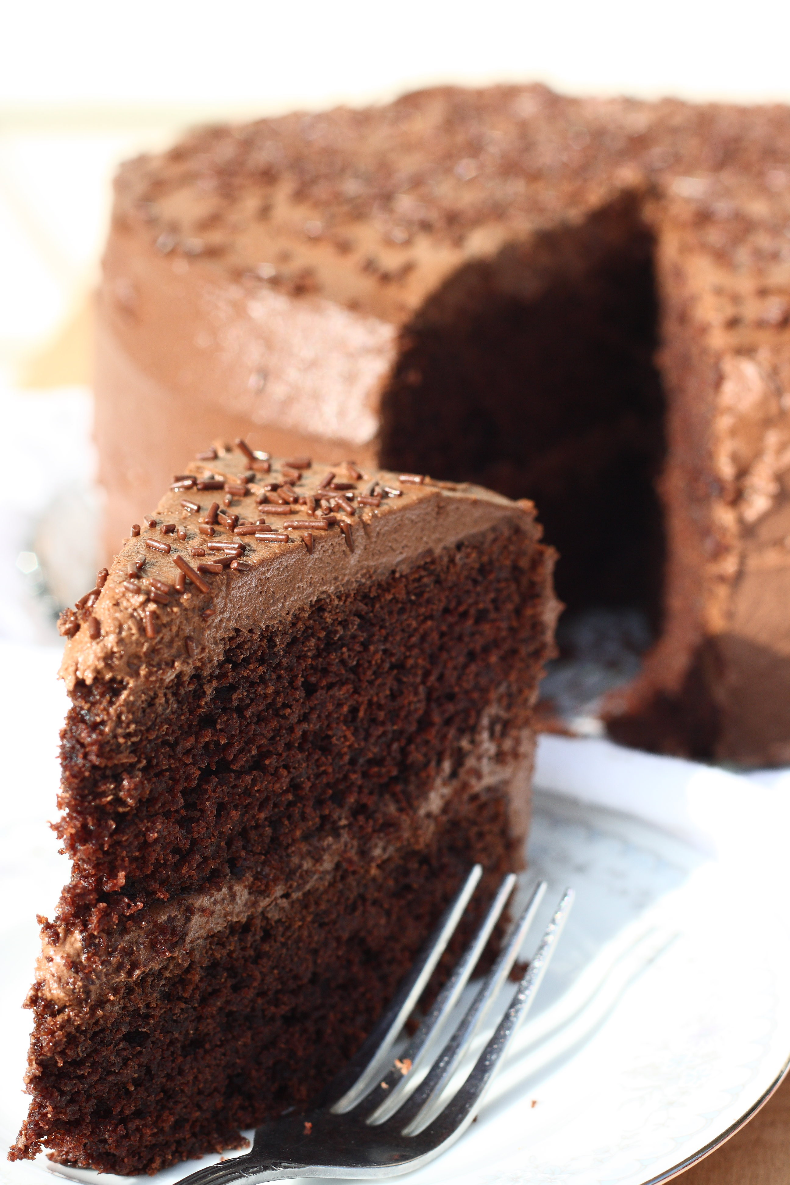 Gluten Free Chocolate Cake Recipe
 Super Moist Gluten Free Chocolate Cake Recipe For Him