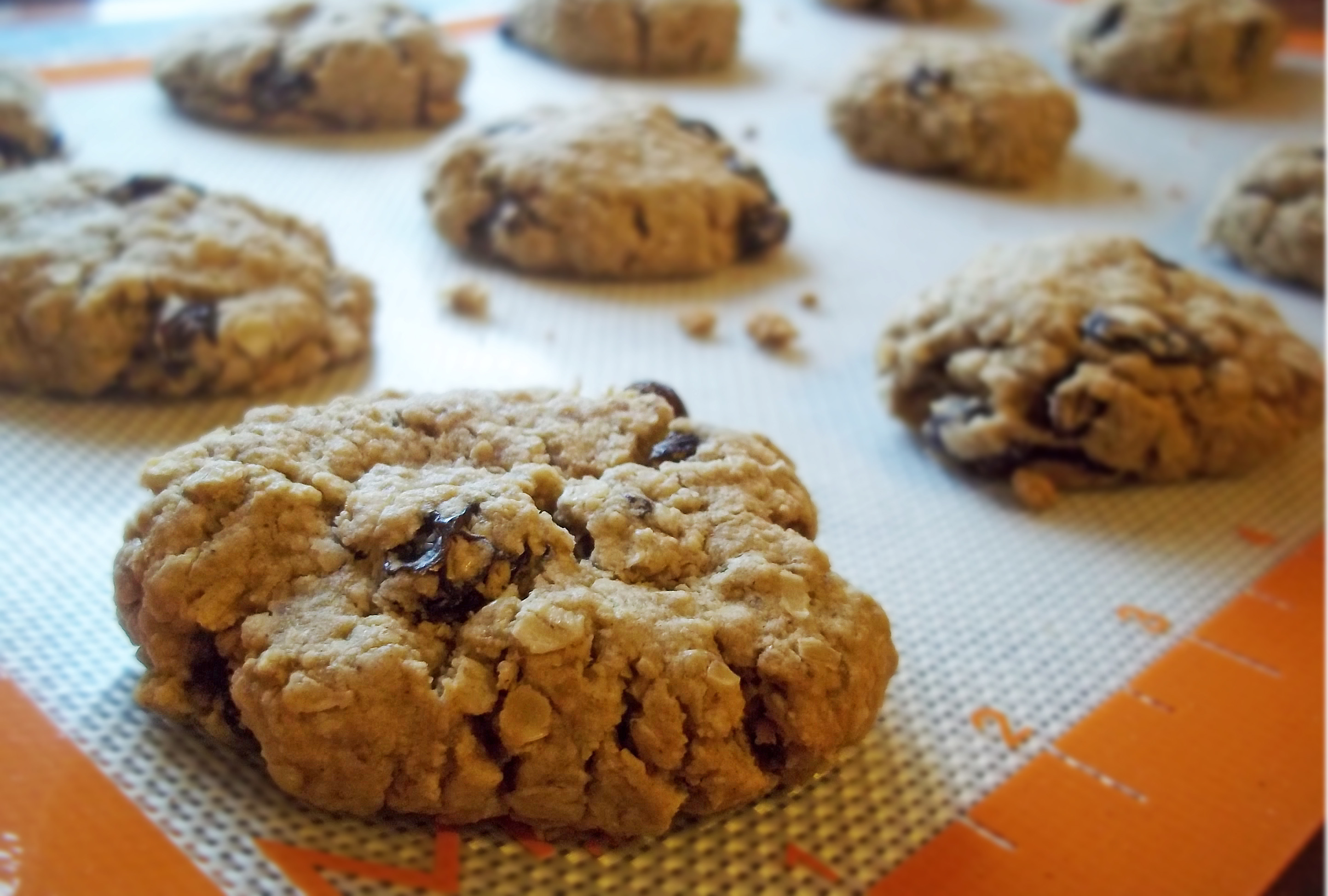 Gluten Free Oatmeal Raisin Cookies
 Gluten Free Oatmeal Raisin Cookies