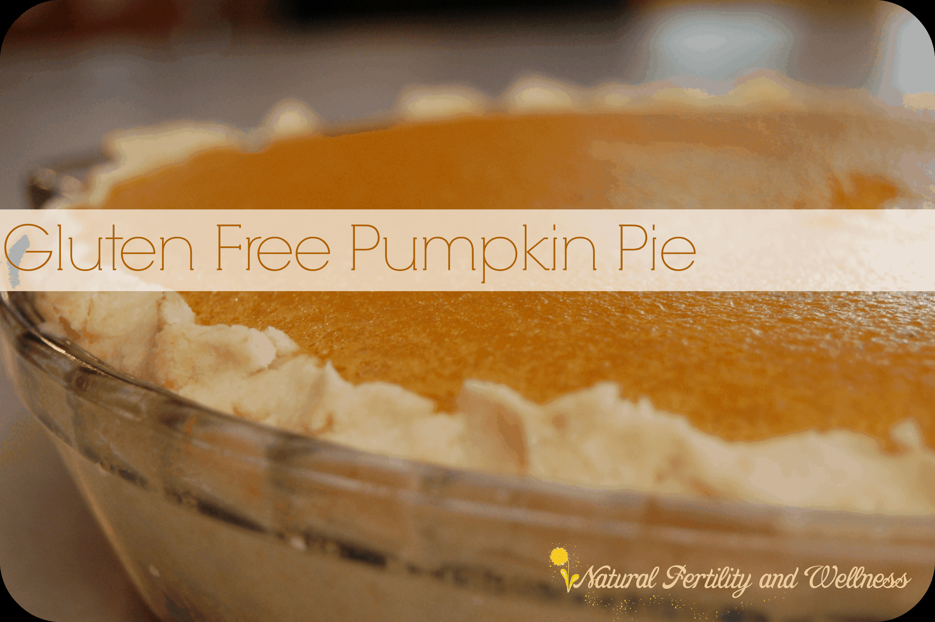 Gluten Free Pumpkin Pie
 Gluten free pumpkin pie