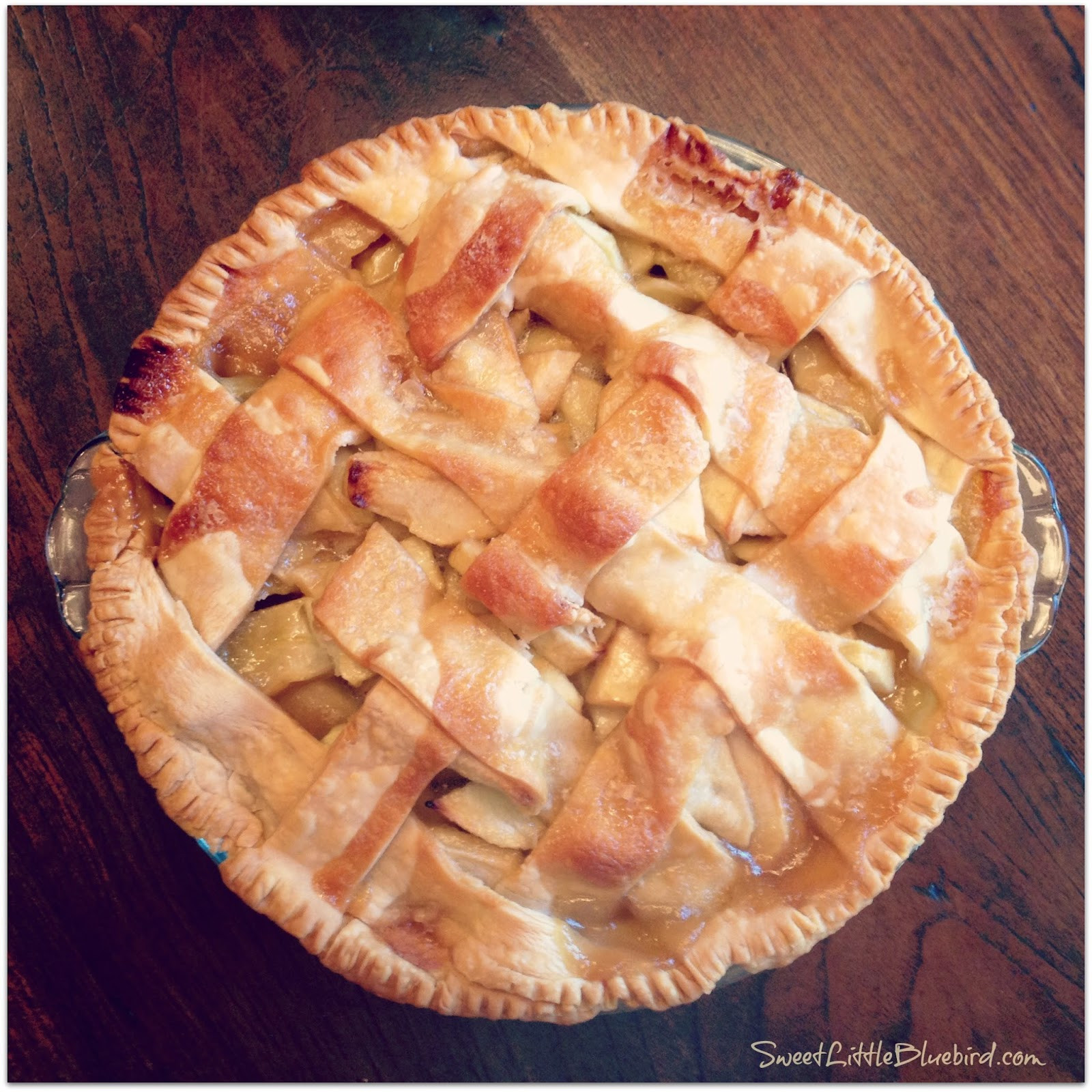 Grandma Ople'S Apple Pie
 Grandma Ople s Famous Apple Pie Sweet Little Bluebird