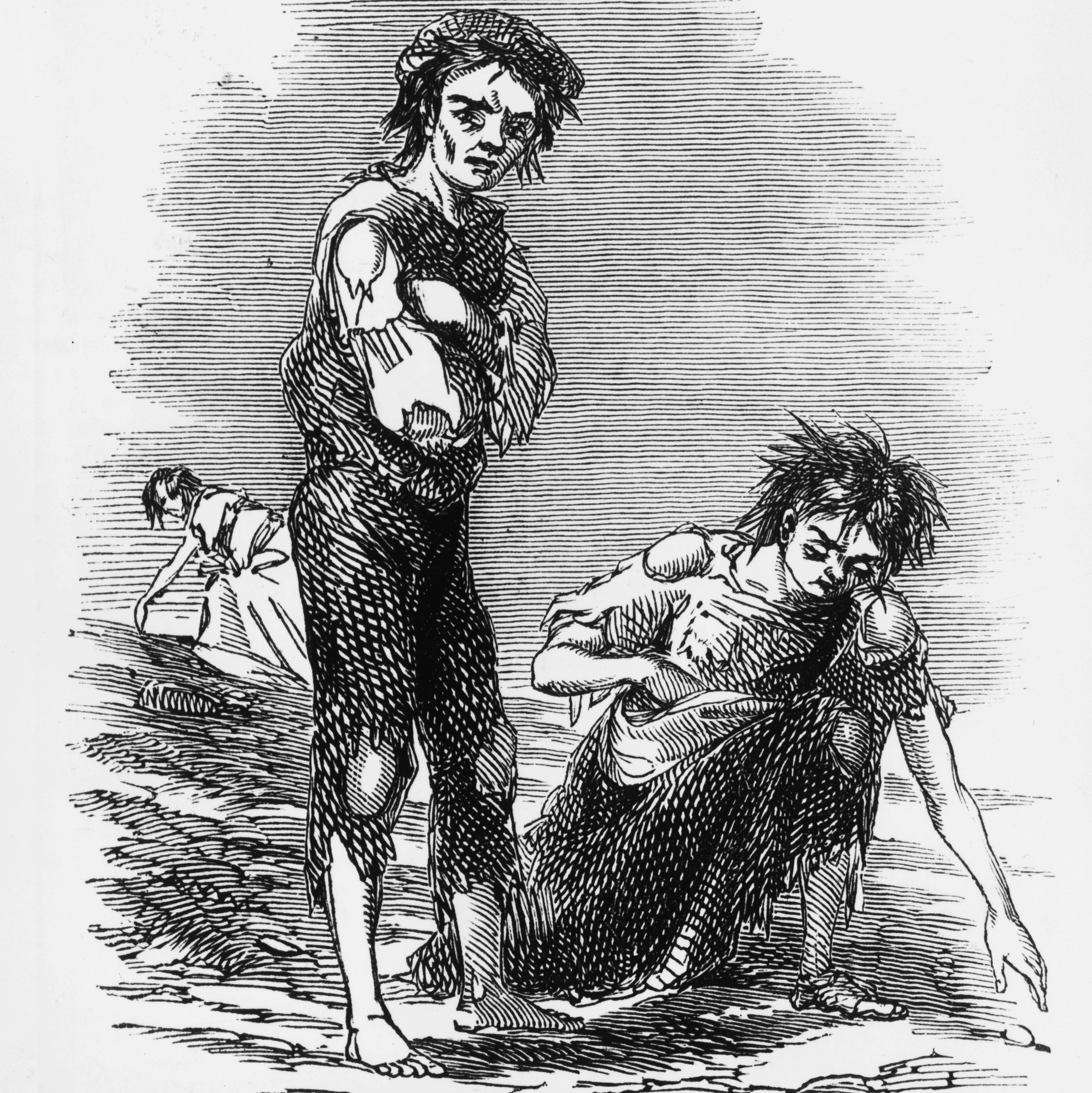 Great Potato Famine
 How Genomics Solved The Mystery Ireland s Great Famine