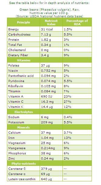 Green Bean Nutrition Facts
 Health and Beauty Green beans nutrition facts