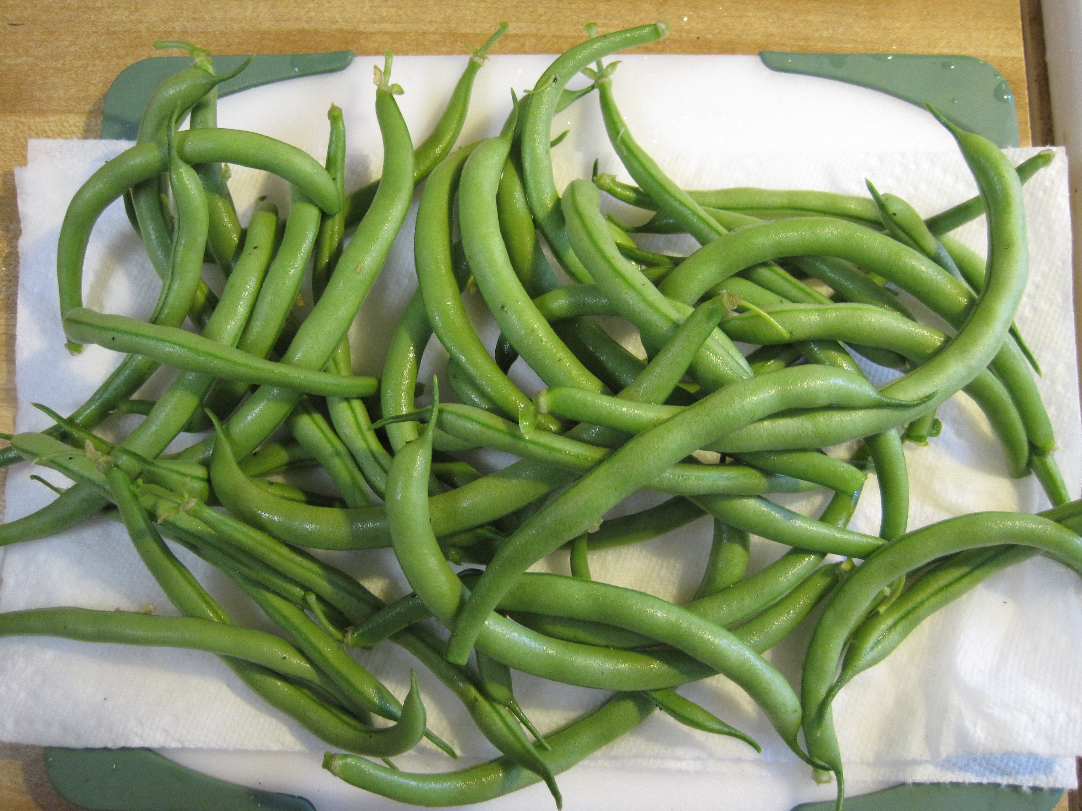 Green Bean Plants
 Green Beans… from Plant to Plate in 40 Minutes