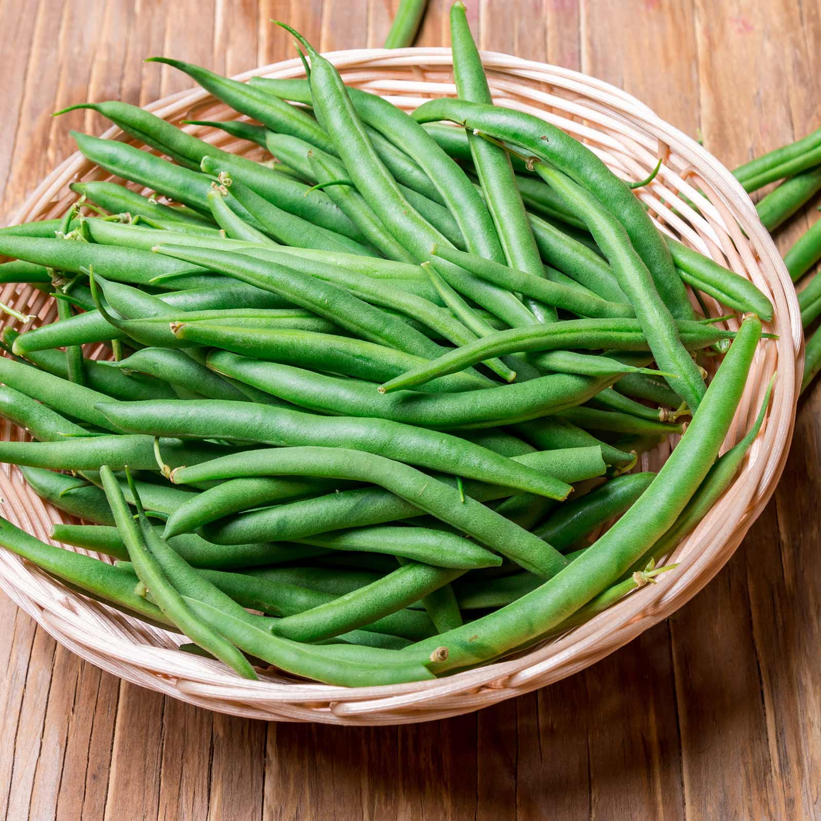 Green Bean Seeds
 Harvester Bush Bean Seeds 50 Lb Bulk Non GMO Heirloom