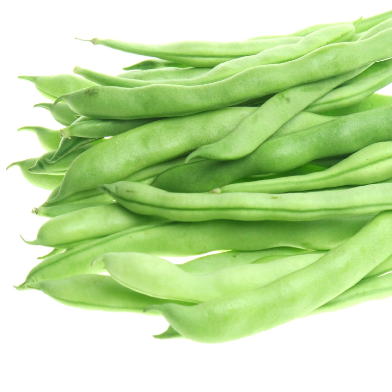 Green Bean Seeds
 Green Bean Seed 15 Seeds Snap Bean Phaseolus Vulgaris L