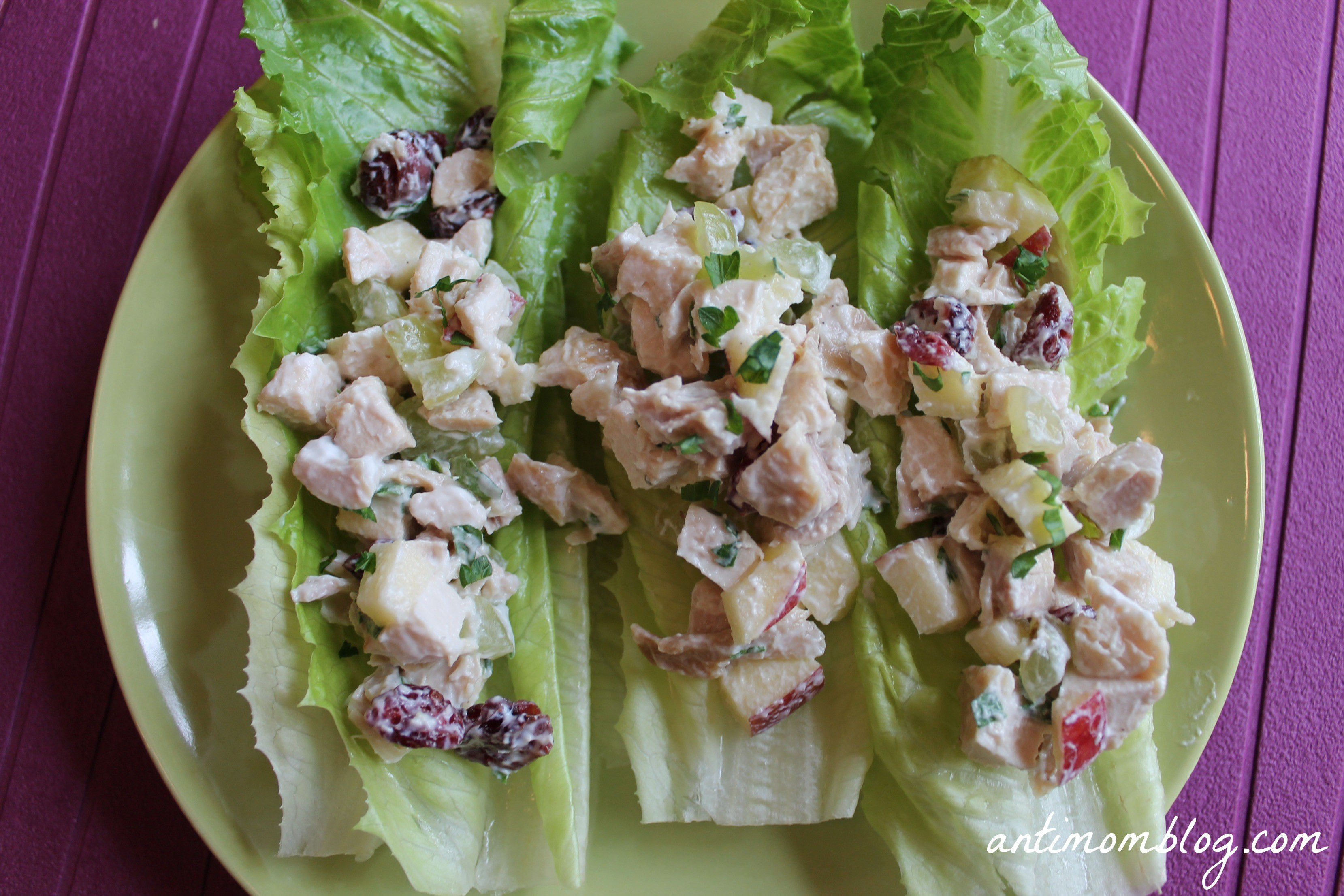 Healthy Chicken Salad Recipe
 Healthy Chicken Salad Recipe — Dishmaps