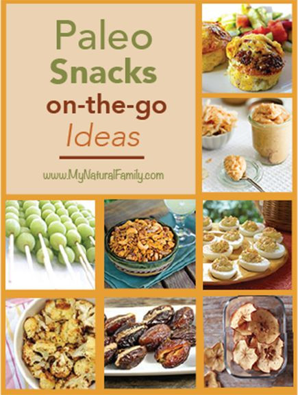 Healthy Paleo Snacks
 50 Paleo Snack Recipes When the Go Healthy Can Be