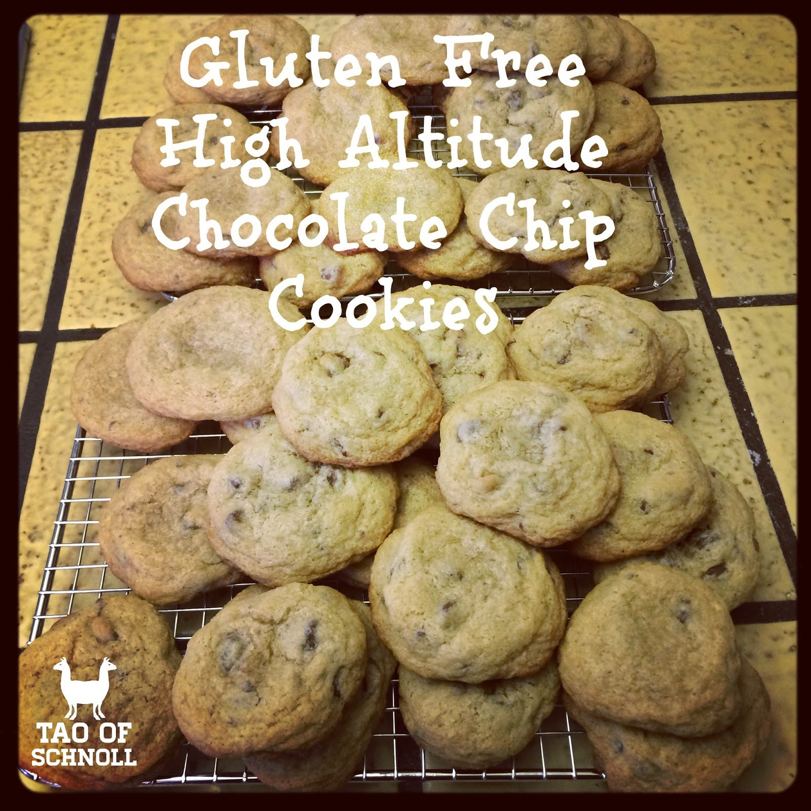 High Altitude Chocolate Chip Cookies
 Tao of Schnoll Gluten Free High Altitude Classic