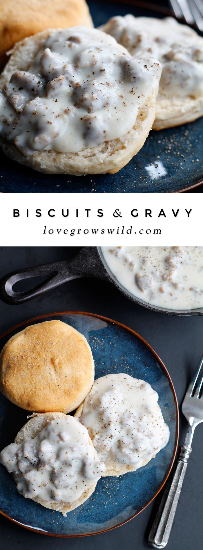 Home Made Breakfast Gravy
 Biscuits and Gravy Love Grows Wild