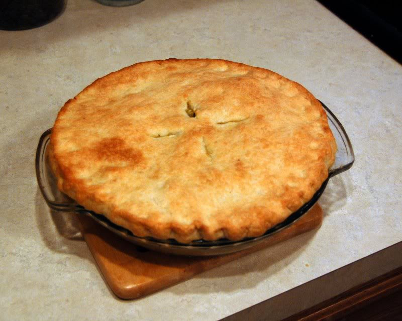 Homemade Beef Pot Pie
 homemade beef pot pie recipe