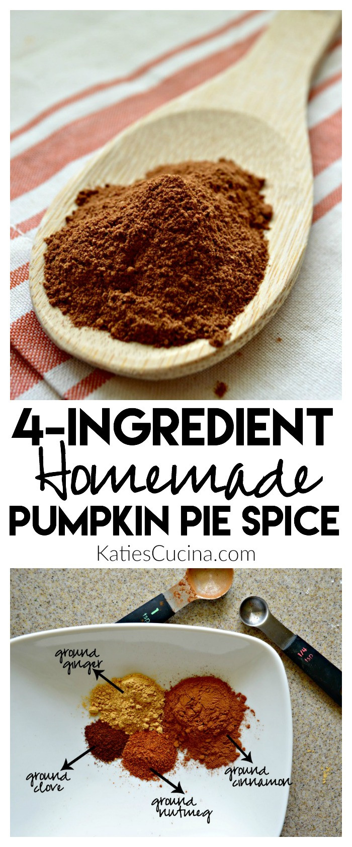 Homemade Pumpkin Pie Spice
 Homemade Pumpkin Pie Spice Katie s Cucina