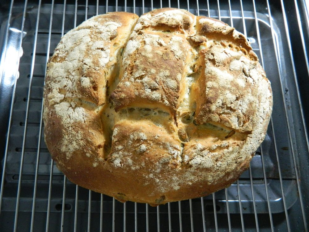 Homemade Sourdough Bread
 Homemade Sourdough Bread recipe – Blender & Basil