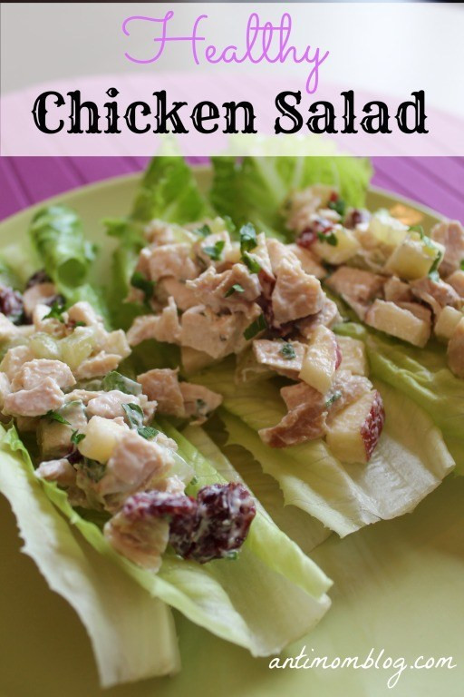How Long Is Chicken Salad Good For
 Healthy Chicken Salad Recipe The Anti Mom Blog