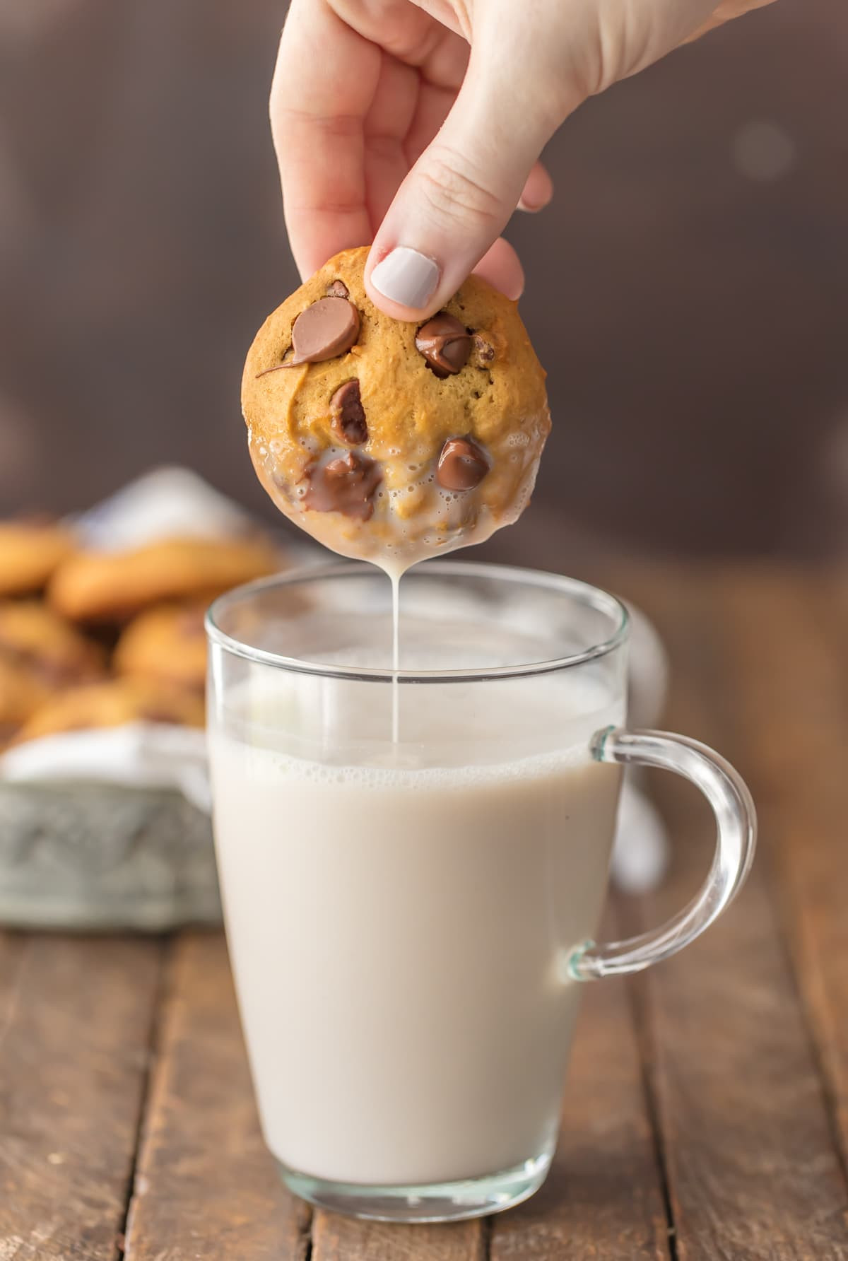 How Much Applesauce For One Egg
 Applesauce Chocolate Chip Cookies The Cookie Rookie