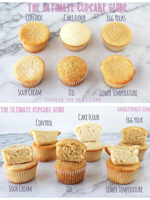 How To Bake Cupcakes
 How to Bake Cupcakes Cupcake Recipes