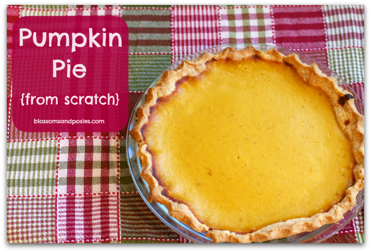 How To Make Pumpkin Pie From Scratch
 How to Make Pumpkin Pie from Scratch blossomsandposies