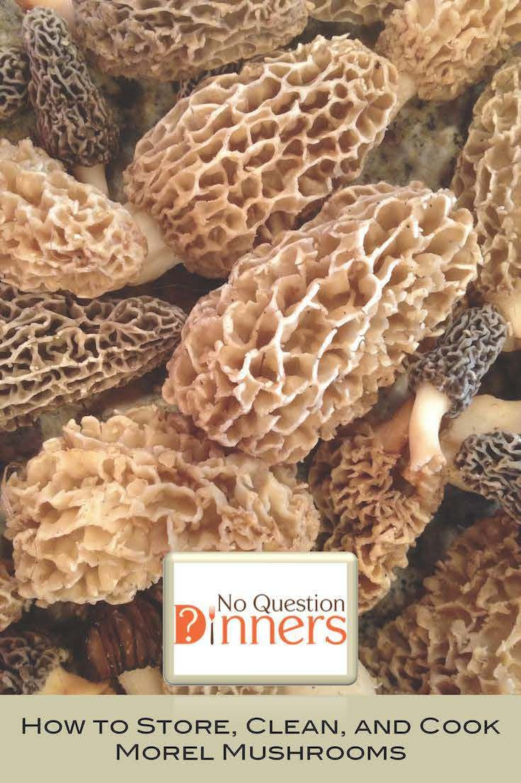 How To Store Morel Mushrooms
 13 best Mushroom recipes images on Pinterest