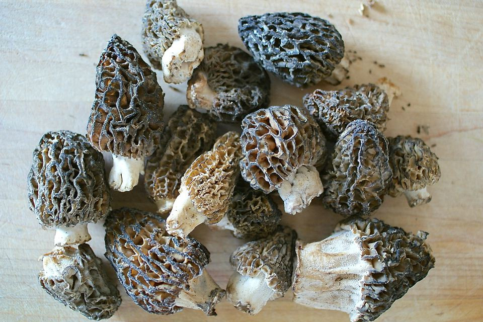 How To Store Morel Mushrooms
 The Best Way to Clean Morel Mushrooms