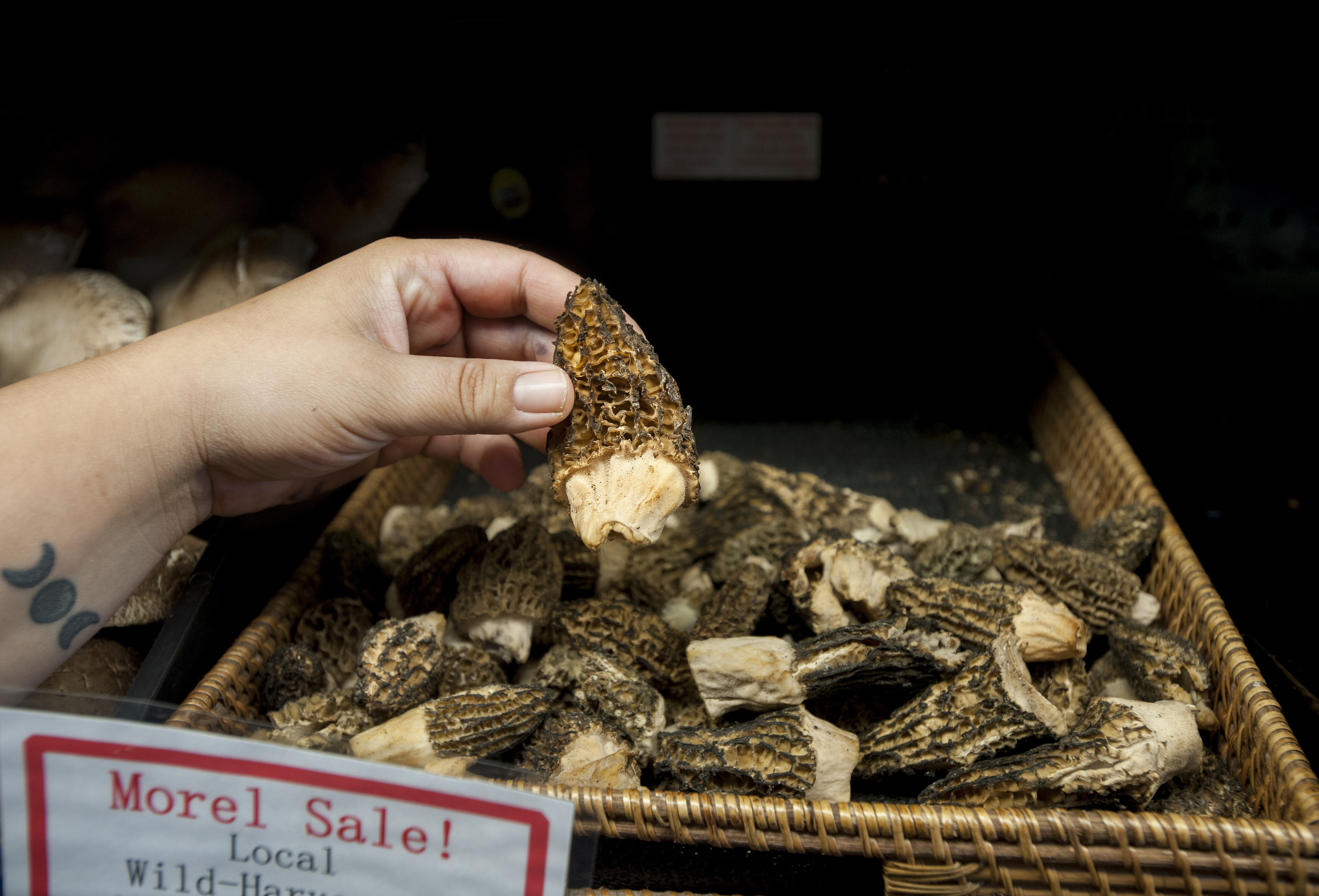 How To Store Morel Mushrooms
 Wild morel mushrooms having banner year