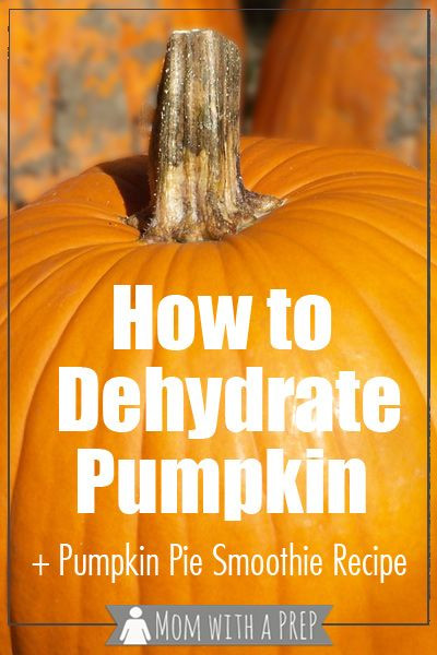 How To Store Pumpkin Pie
 How to Dehydrate Pumpkin Make Your own Pumpkin Pie