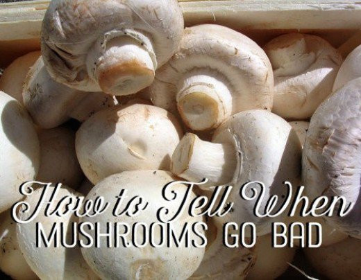 How To Tell If A Potato Is Bad
 How to Tell When Mushrooms Go Bad