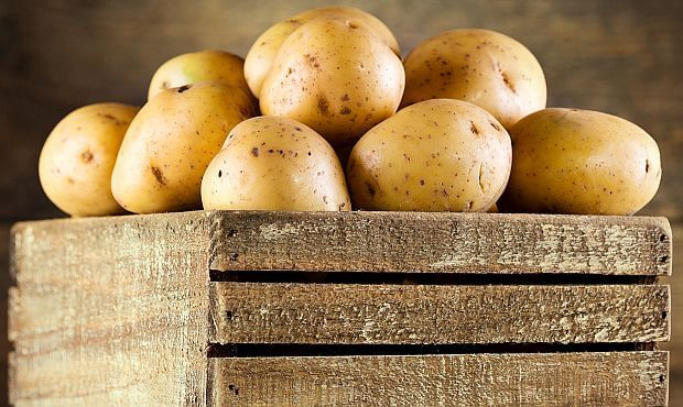 How To Tell If A Potato Is Bad
 When do you know that potatoes are bad Nutrition Myths