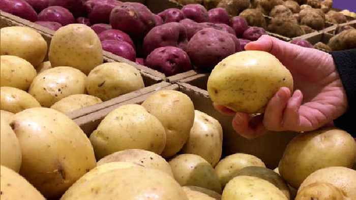 How To Tell If A Potato Is Bad
 What s bad is good Potatoes e News Page [Aus] VIDEO