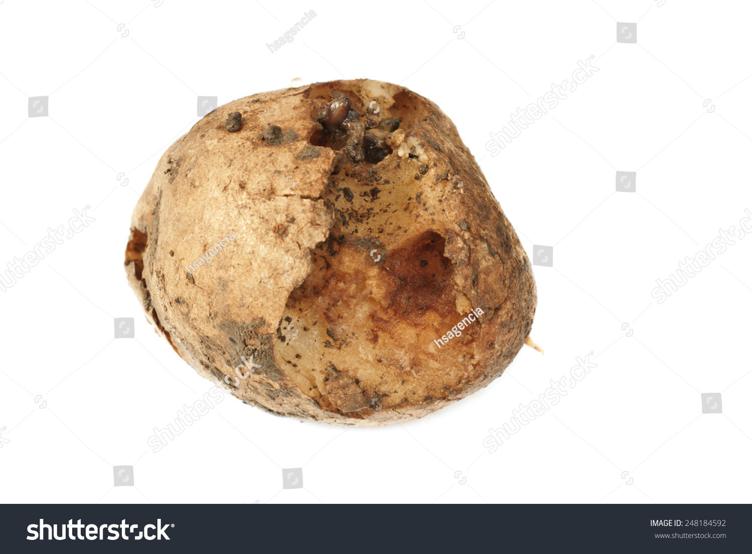 How To Tell If A Potato Is Bad
 Spoiled Bad Potato Isolated White Stock