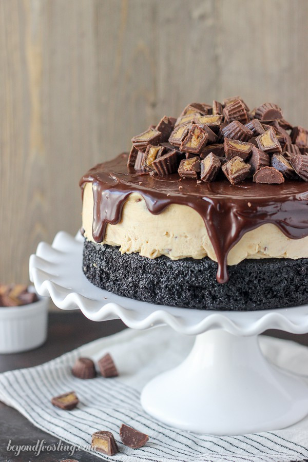 Ice Cream Cake Recipes
 Peanut Butter Cup Ice Cream Cake Beyond Frosting